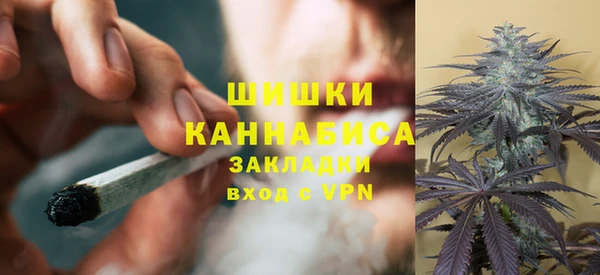 гидра Белокуриха