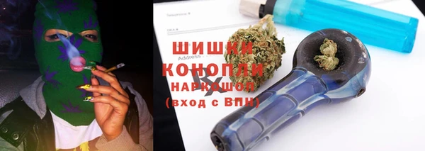 гидра Белокуриха