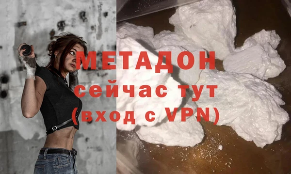гидра Белокуриха