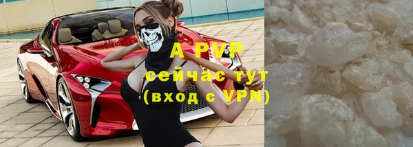 ПСИЛОЦИБИНОВЫЕ ГРИБЫ Беломорск