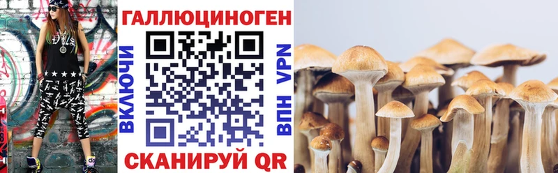 Псилоцибиновые грибы GOLDEN TEACHER KRAKEN как зайти Всеволожск